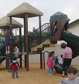 Jungle Gym